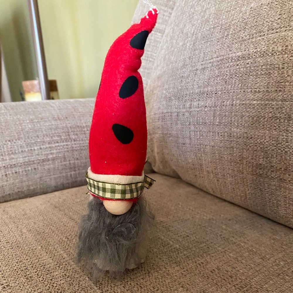 Watermelon Gnome